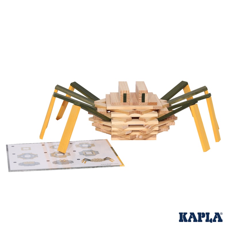 KAPLA Spider Case