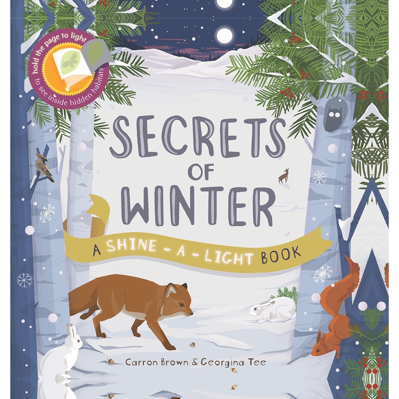 Secrets of Winter (Shine A Light Books)