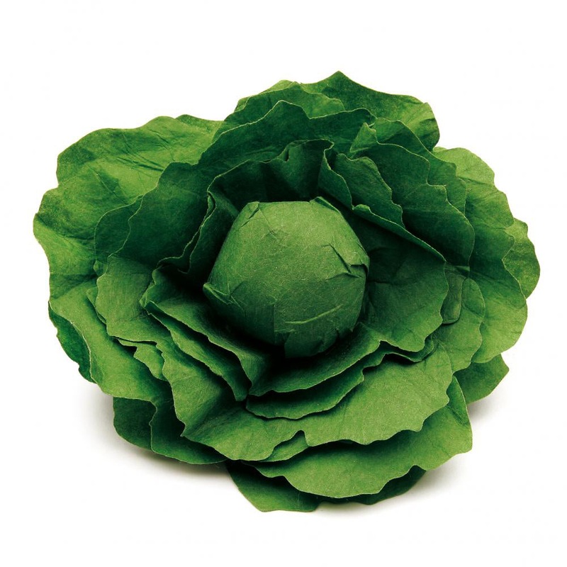 Erzi Lettuce