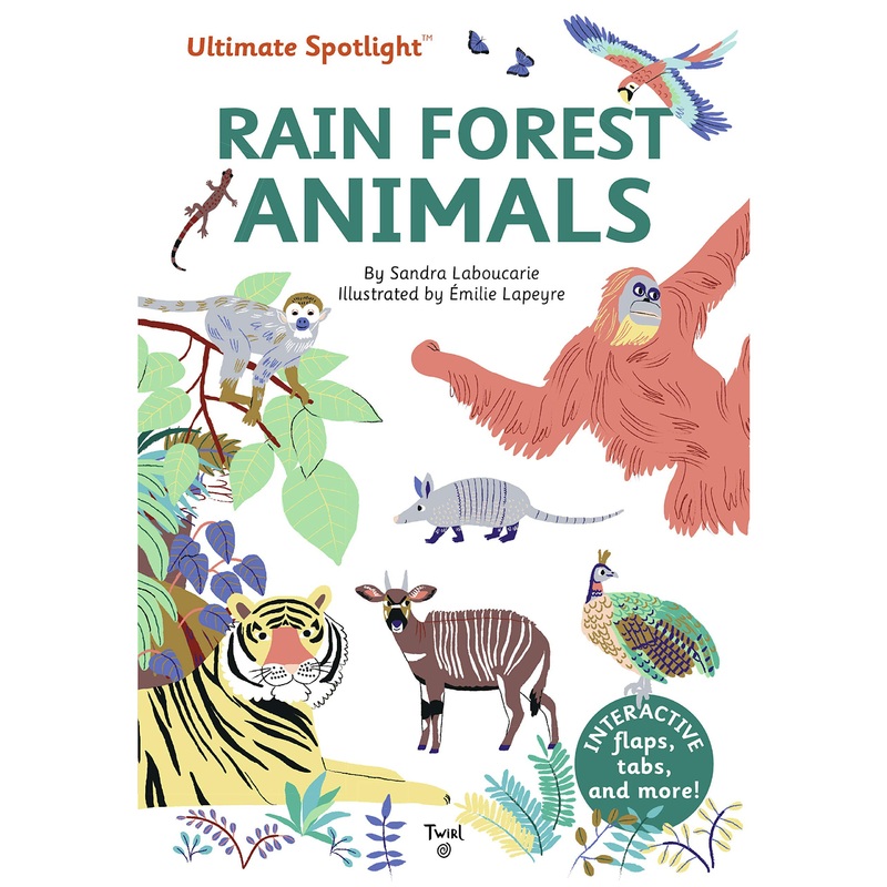 Ultimate Spotlight: Rain Forest Animals