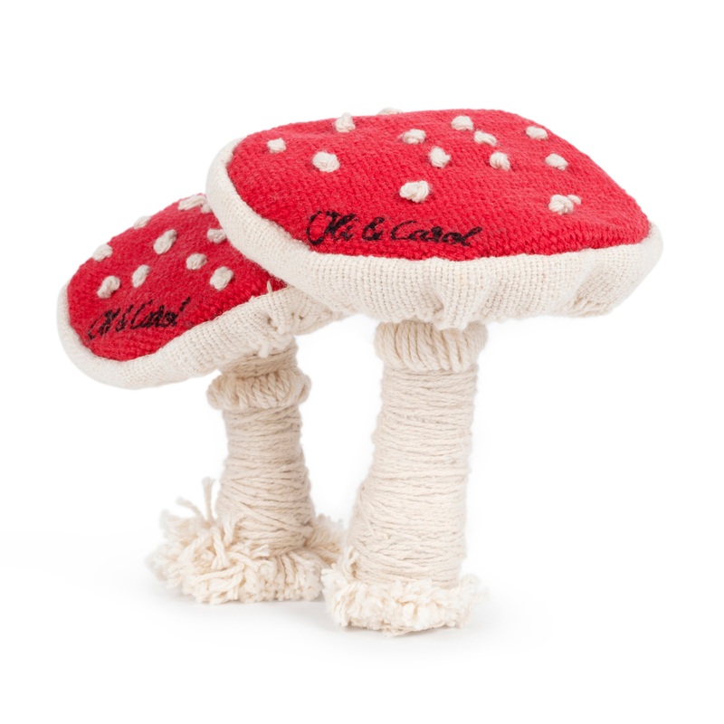 Oli & Carol DIY Spot & Spotty The Mushroom