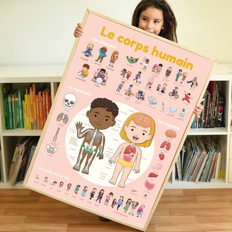 Poppik Discovery Human Body Educational Poster with 49 Stickers