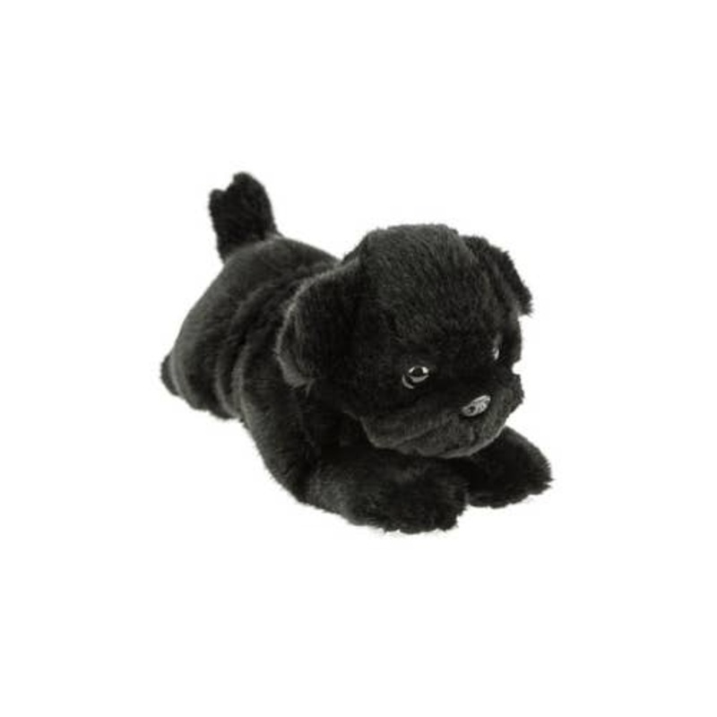 Black or Fawn Floppy Pug Puppies Eco-friendly