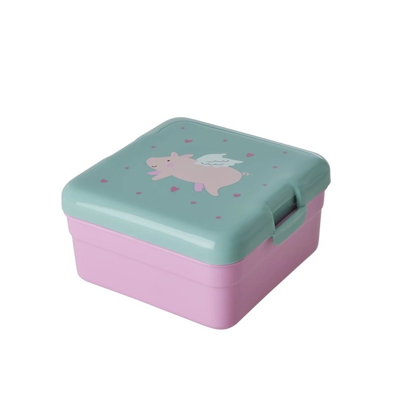 Rice DK Small Lunchbox with Flying Pig Print