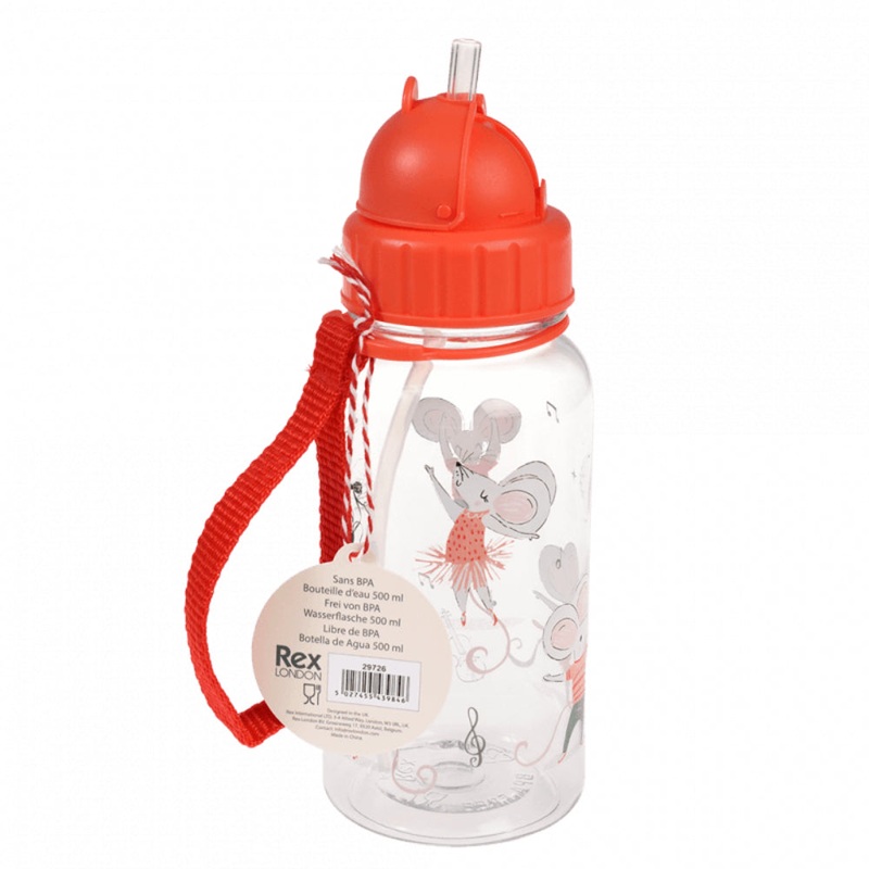 Rex Children's Water Bottle with Straw 500ml - Mimi and Milo
