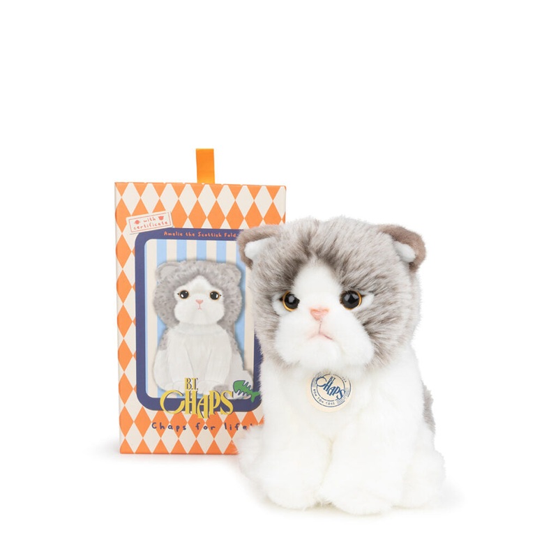 B.T. Chaps  Amelie The Scottisch Fold in Giftbox - 17cm - 6.5"