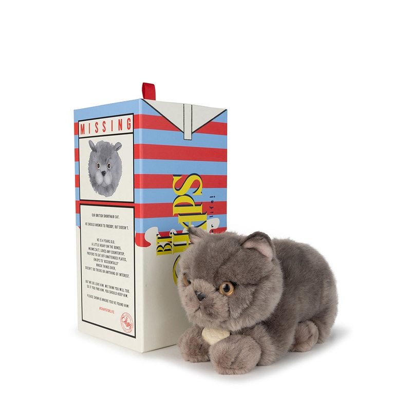 B.T. Chaps  Freddy The British Shorthair in Giftbox - 20cm - 8"