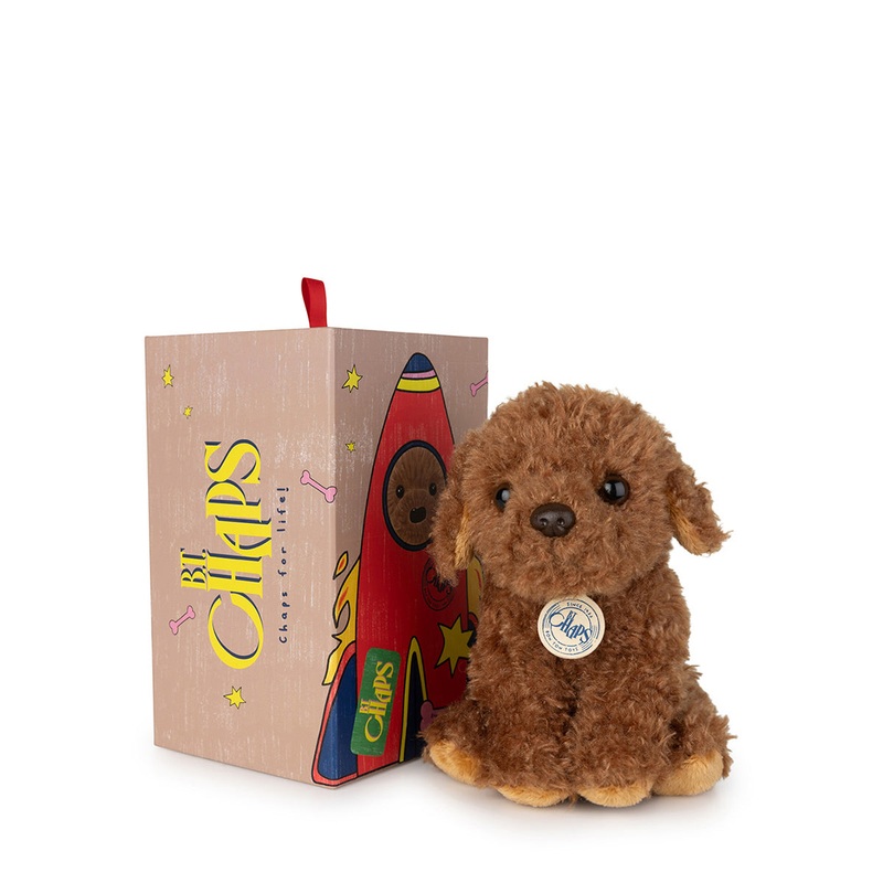 B.T. Chaps  Stacy The Labradoodle in Giftbox - 17cm - 6.5"