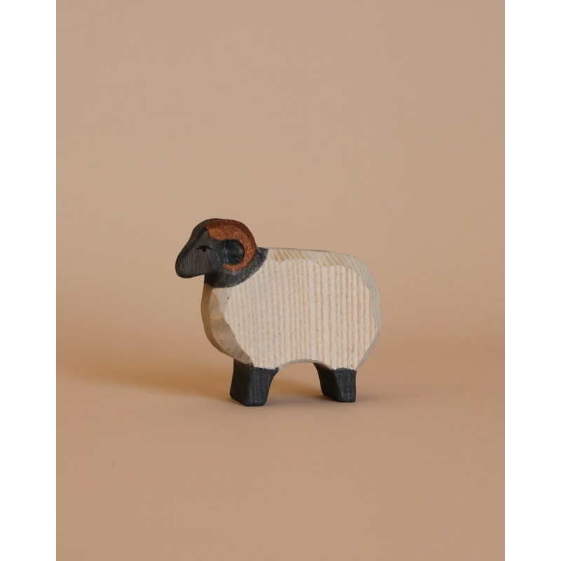 Ostheimer Moorland Ram