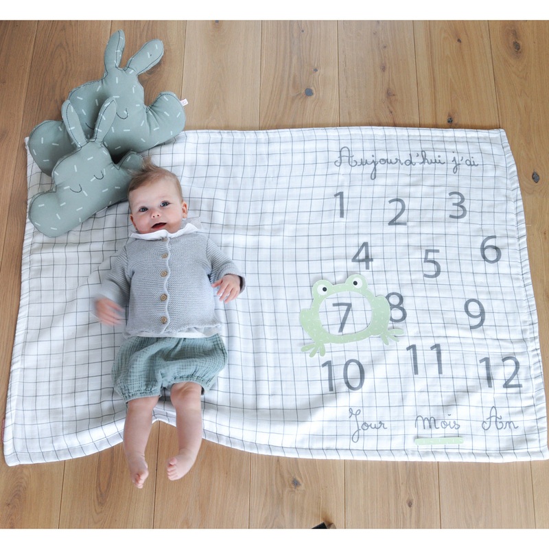 Little Crevette Plaid - Photobooth Cactus