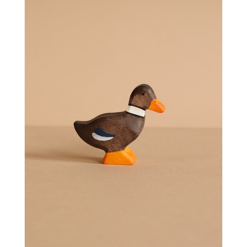 Holztiger Duck, Standing