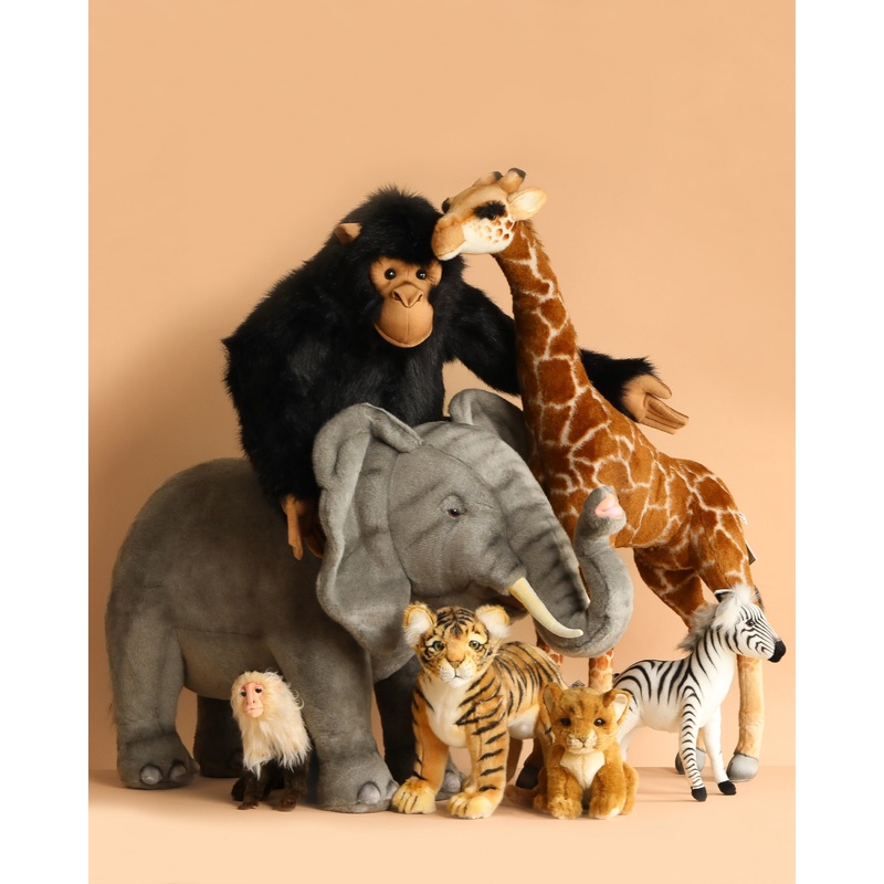 The Great Safari Expedition Set - Final Sale