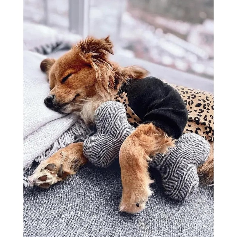 Rooterville Tweed Dog Toy Four Sizes-TOUGH, ECO-FRIENDLY, MADE IN THE USA