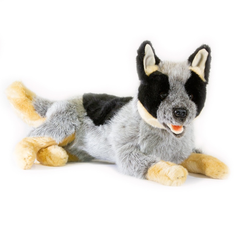 Australian Cattle Dog Heeler Realistic Stuffed Animal Large Size 44cm/17.3