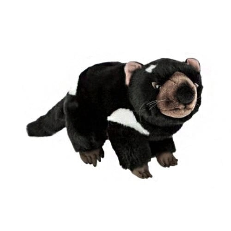 Tasmanian Devil Plush Animals Realistic 3 different sizes!