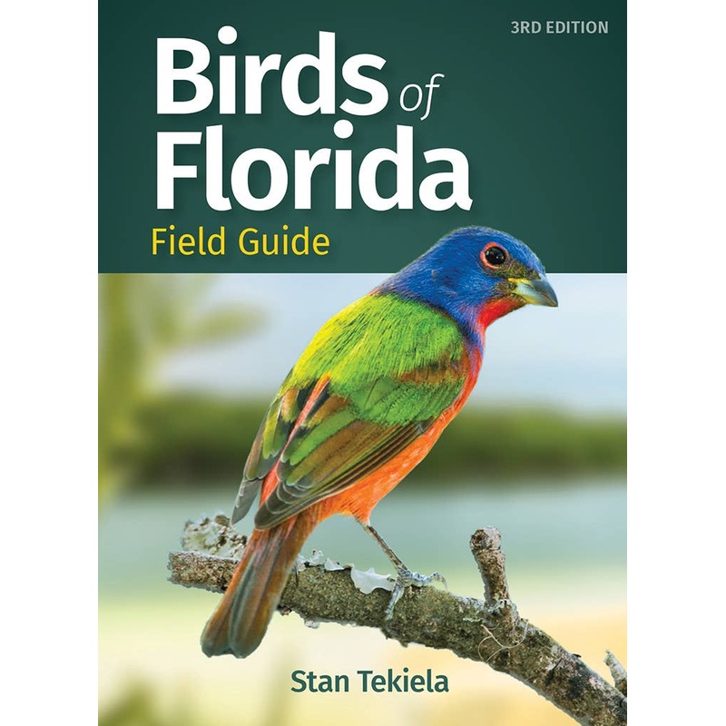 Birds of Florida Field Guide Beautiful Photos