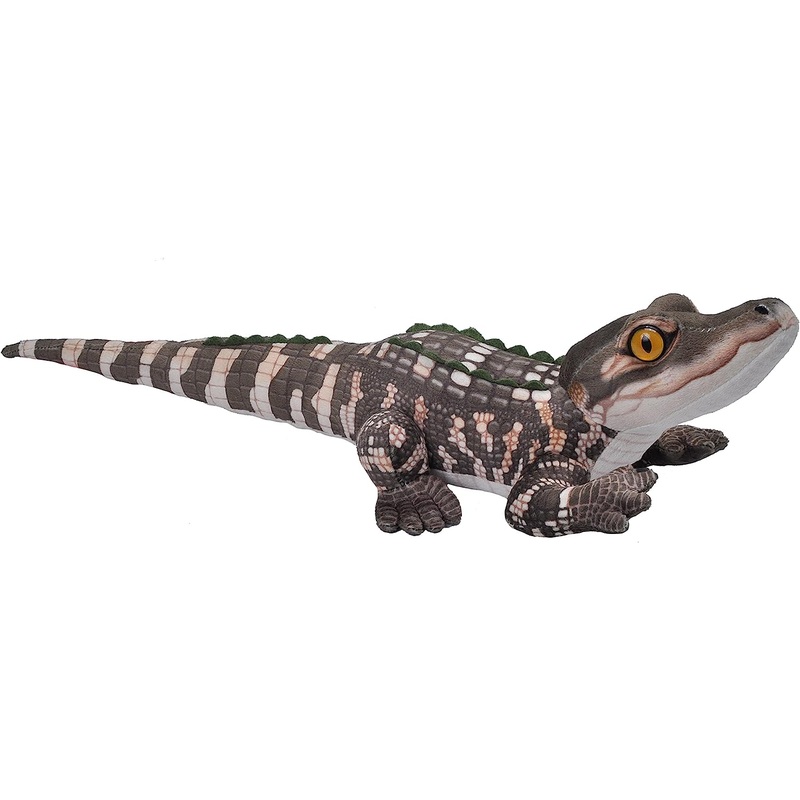 MIni Living Stream Baby Alligator By Wild Republic
