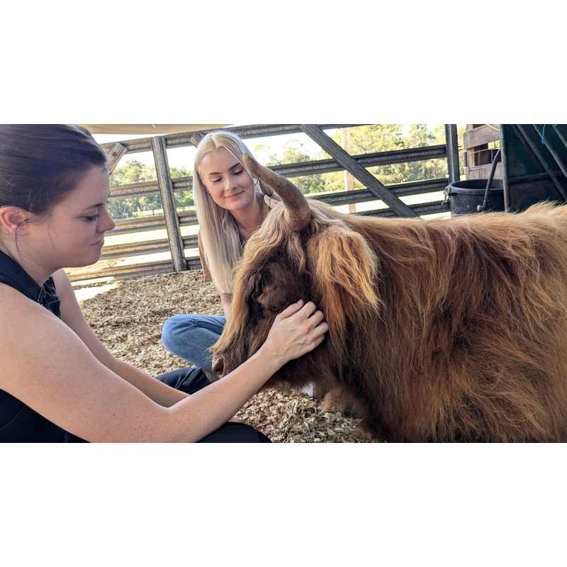 Rooterville EXPERIENCES