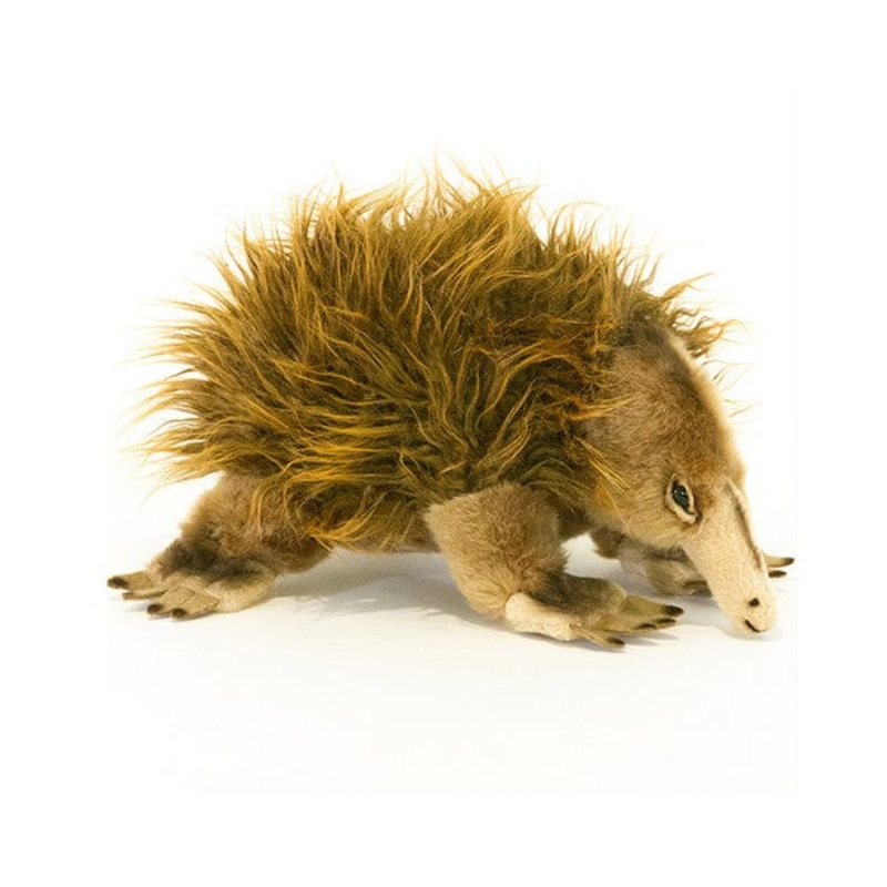 Plush Lifelike Echidna Size 24cm/9.5