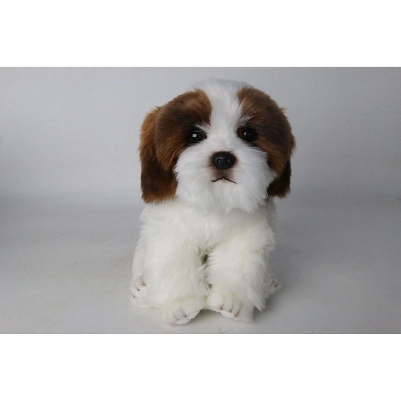 Plush Shih Tzu Puppy Brown and White