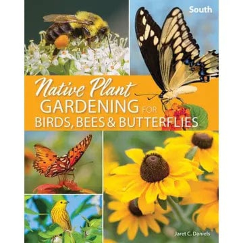 Native Plant Gardening in the South - Bees, Birds & Butterflies