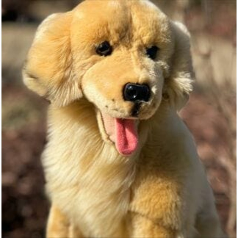 Plush Golden Retriever by Auswella