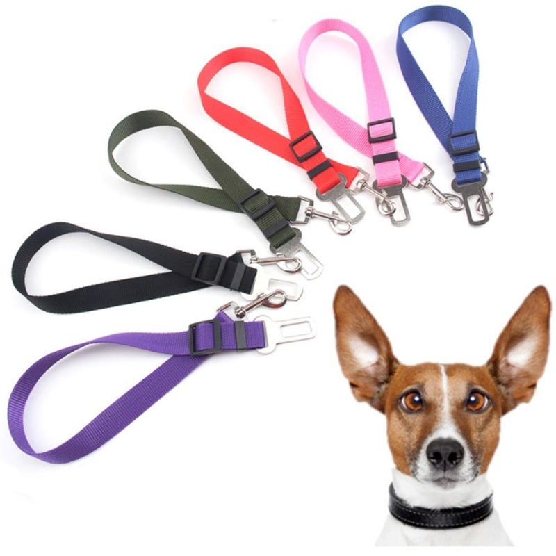 Adjustable Nylon Doggie Seatbelt-Keep Your Dog Safe in the Car! *