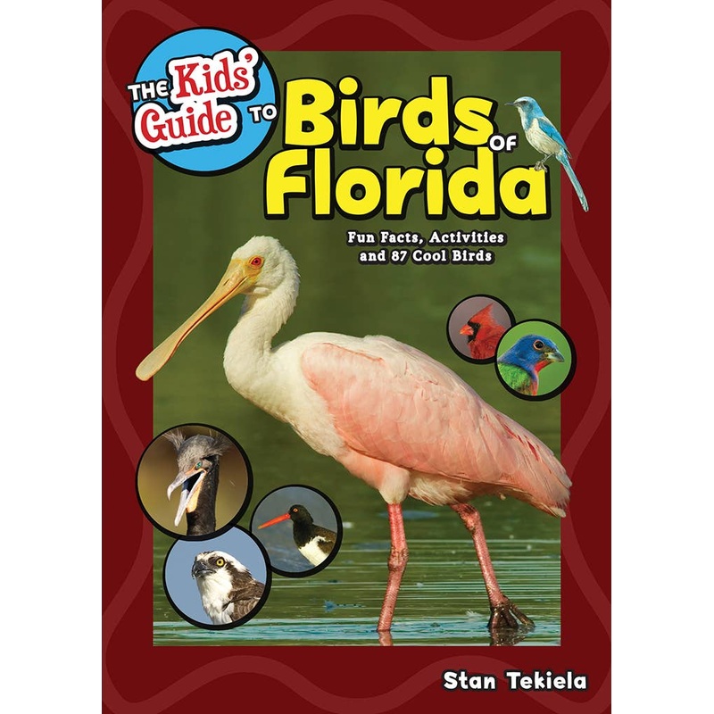 Kids Guide to Birds of Florida Book-Beautiful Photos!