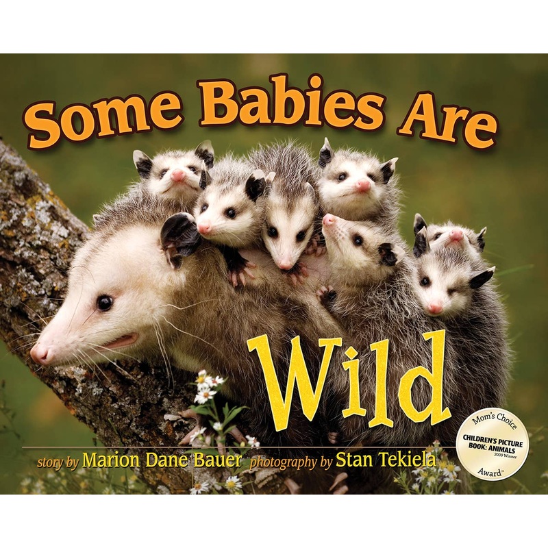 Wild Animal Babies Book for Kids:  Some Babies Are Wild