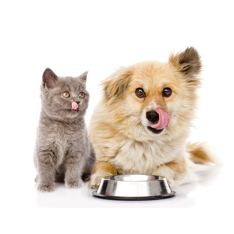 Pet Pantry: Animal Treats Buy a Bag of Food for Hungry Pets