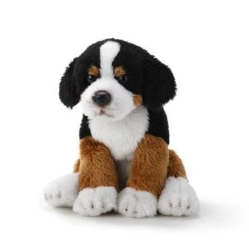 Plush Dogs: Bernese, Dalmatian, Husky, Shiba Inu, Chow, Dobie, Rottie