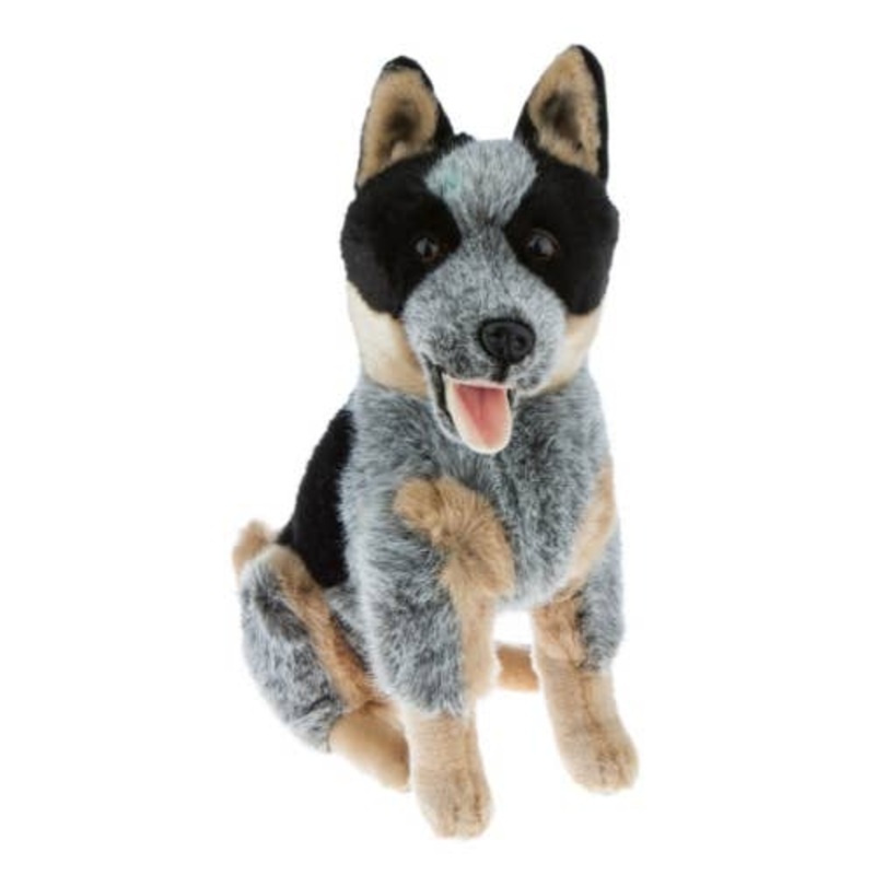 Australian Cattle Dog Lifelike Size 40cm/15.7"