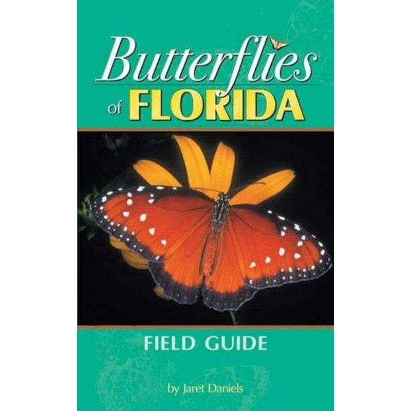 Butterflies Of Florida Field Guide Beautiful Photos and Information