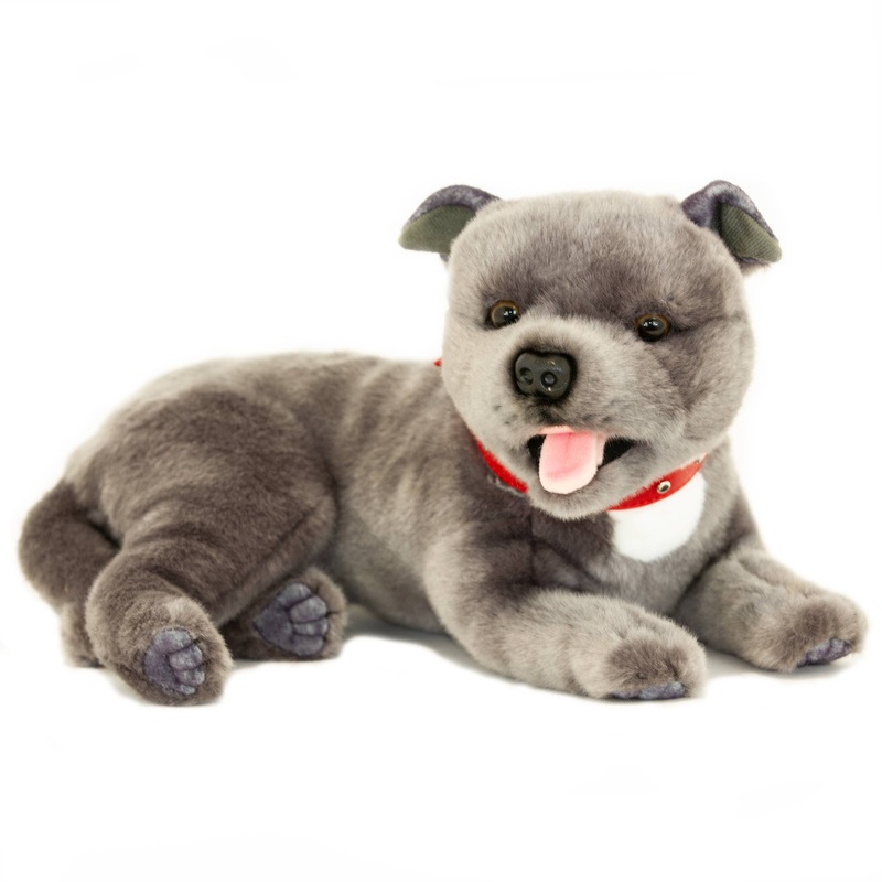 Realistic Lying  Gray Staffordshire Bull Terrier Size 35cm/13.75"