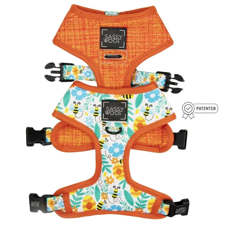 Honey Bee Dog Gear by Sassy Woof Harness Leash