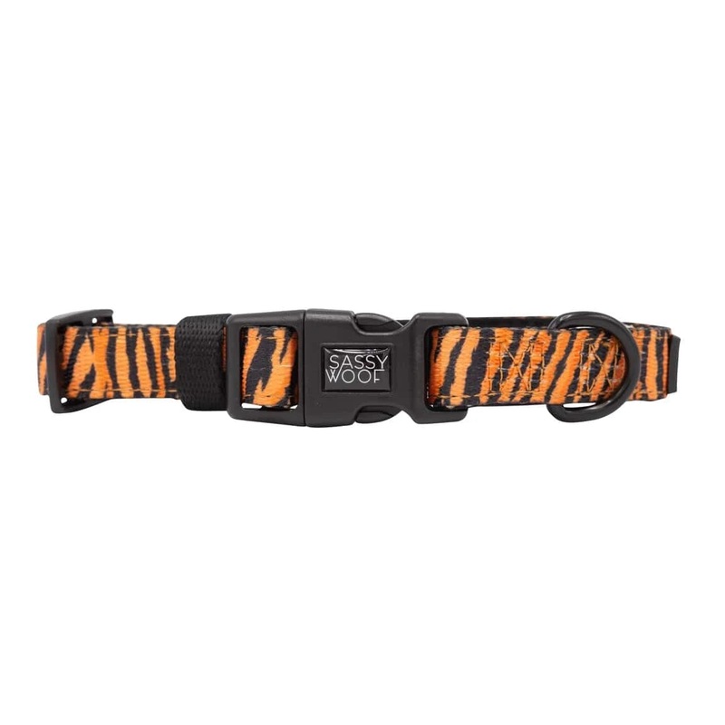 Paw of the Tiger Dog Collar S by Sassy Woof