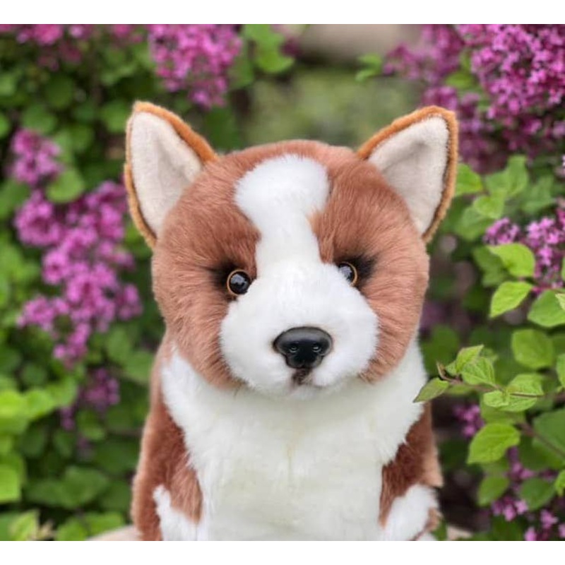 Plush Pembroke Welsh Corgi-Chocolate Brown and White