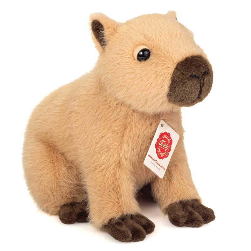 Adorable Capybara by Teddy Hermann