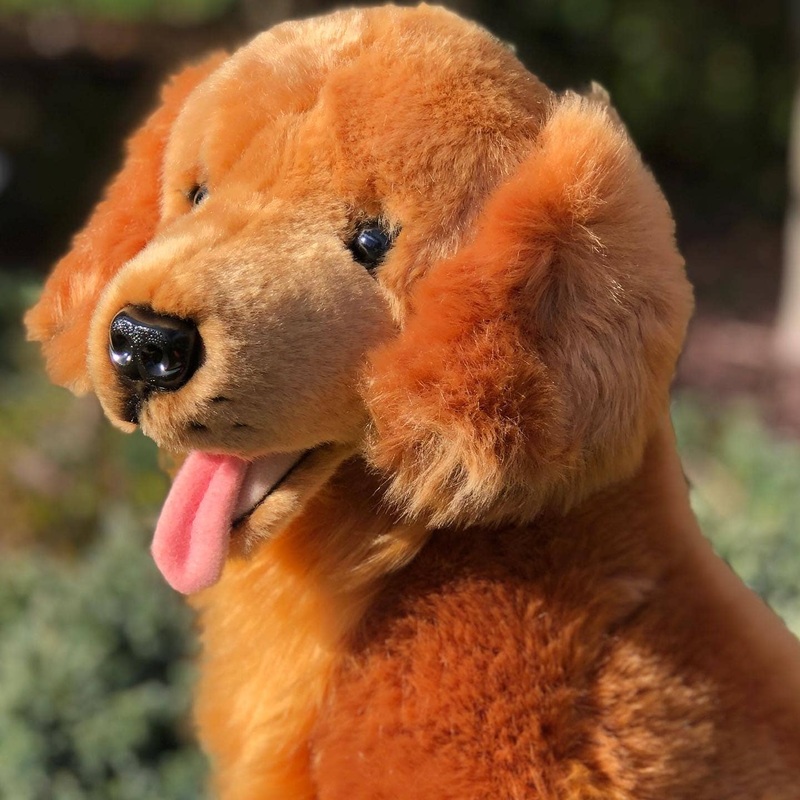 Plush Red Golden Retriever Sitting Realistic