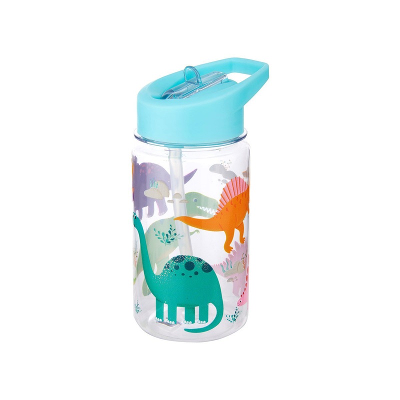 RJB Stone Drink Up Roarsome Dinosaurs Water Bottle