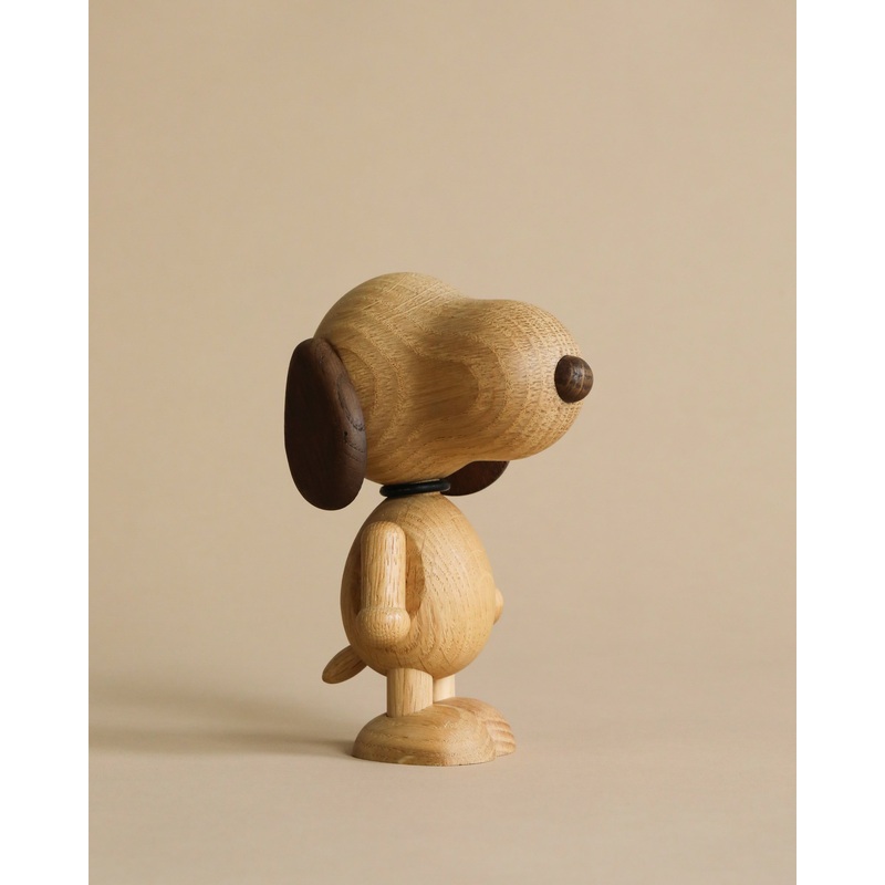 Boyhood Snoopy, Small