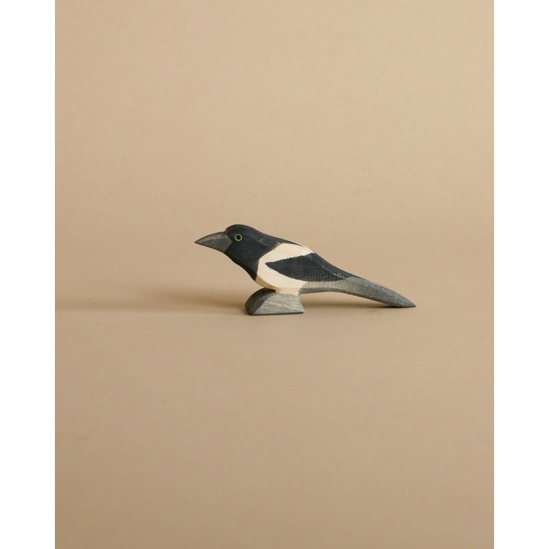 Ostheimer Magpie Bird