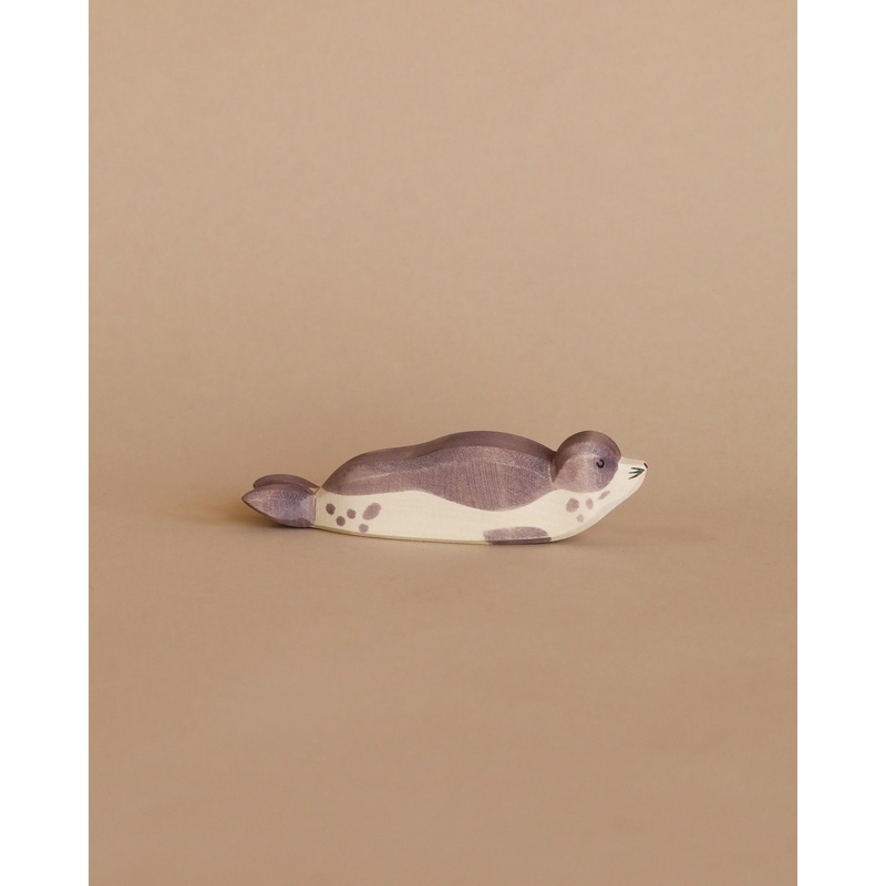Ostheimer Sea Lion - Resting
