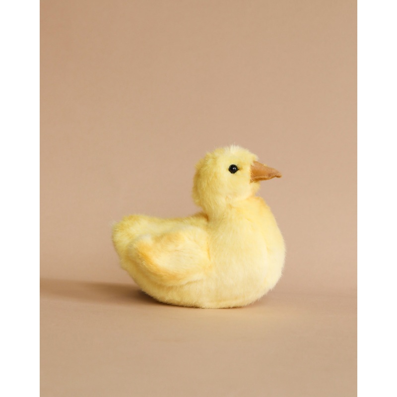 Duck Chick Stuffed Animal