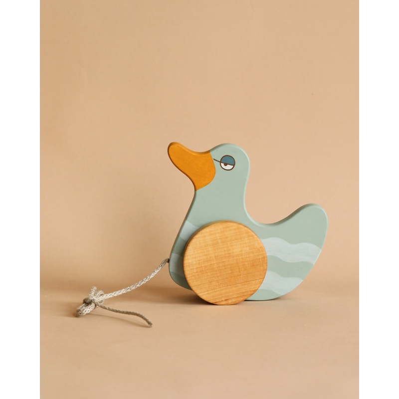 Duck Pull Toy - Mint Green