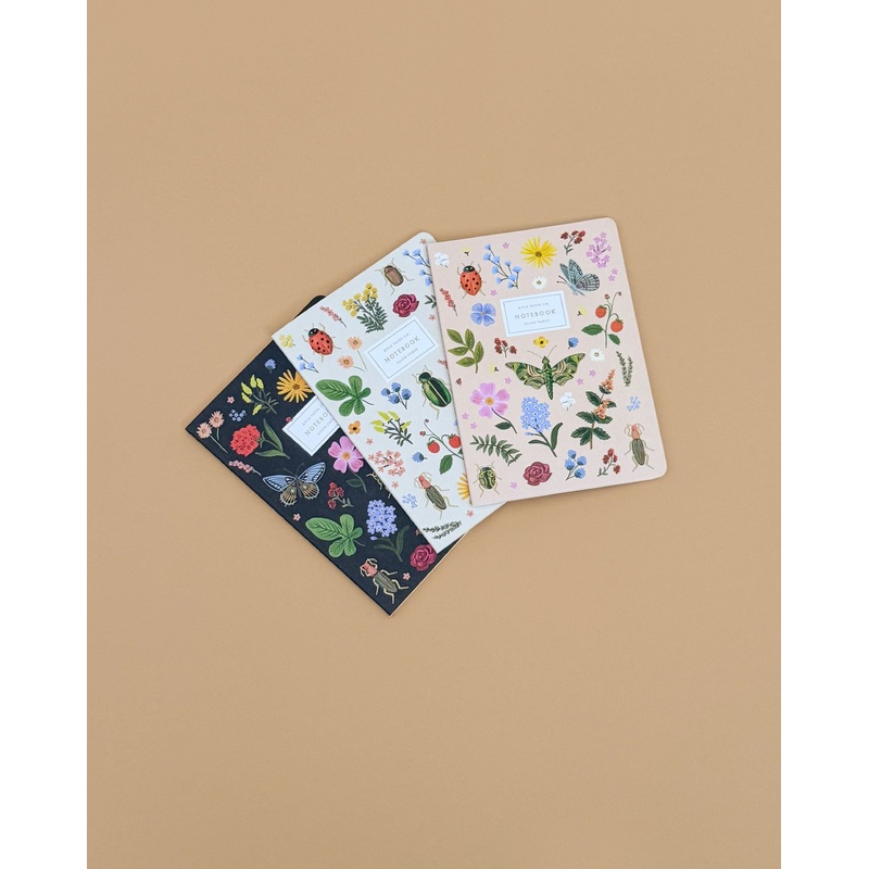 Assorted Set of 3 Curio Notebooks