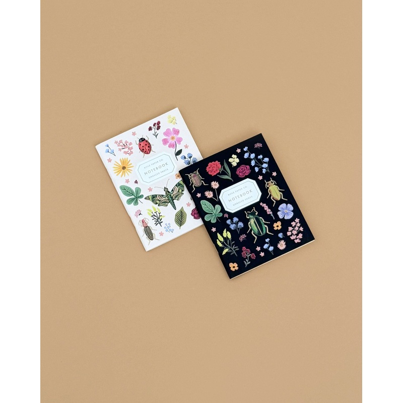 Pair of 2 Curio Pocket Notebooks